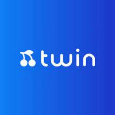 Twin logo